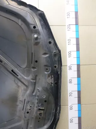 41627162102 BMW Капот BMW X1 E84 Арт E12985255, вид 16