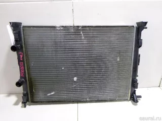 8200115542 Renault Радиатор основной Renault Megane 2 Арт E14702653, вид 1