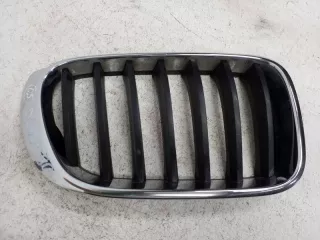 51117210725 Решетка радиатора BMW X3 F25 Арт D095450, вид 1