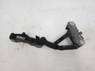 41617475792 Петля капота правая BMW X3 G01 Арт 991942D, вид 1
