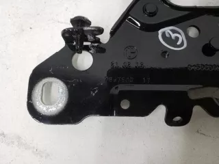 41617475792 Петля капота правая BMW X3 G01 Арт 991942D, вид 5