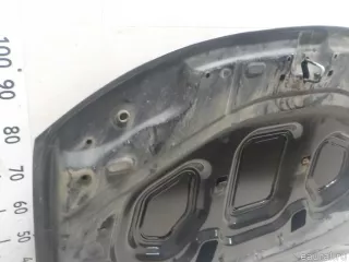 651000987R Renault Капот Renault Duster 2 Арт E52243666, вид 11