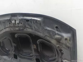 651000987R Renault Капот Renault Duster 2 Арт E52243666, вид 12