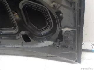 651000987R Renault Капот Renault Duster 2 Арт E52243666, вид 13