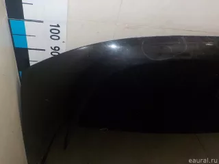 651000987R Renault Капот Renault Duster 2 Арт E52243666, вид 4