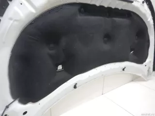 BB5Z16612A Ford Капот Ford Explorer 5 restailing Арт E95580581, вид 19