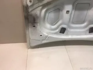651000987R Renault Капот Renault Duster 2 Арт E20818125, вид 2