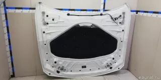 41007290944 BMW Капот BMW X4 F26 Арт E23104803, вид 8