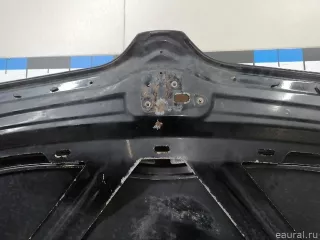 5E0823031 VAG Капот Skoda Octavia A8 Арт E23318771, вид 20