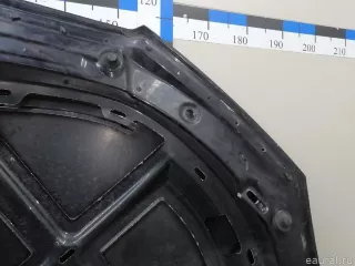 5E0823031 VAG Капот Skoda Octavia A8 Арт E23318771, вид 21