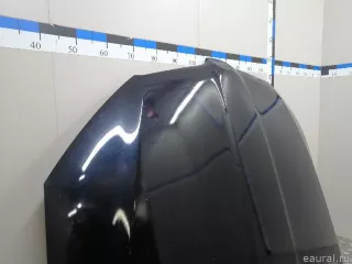 5E0823031 VAG Капот Skoda Octavia A8 Арт E23318771, вид 6