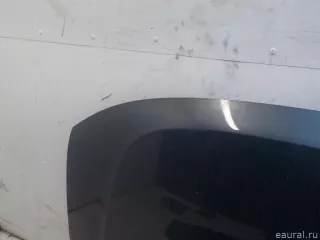 651000987R Renault Капот Renault Duster 2 Арт E40924432, вид 2