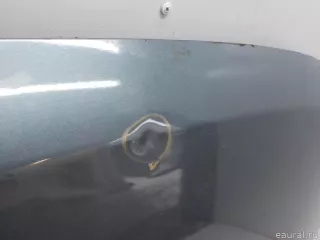 651000987R Renault Капот Renault Duster 2 Арт E41072572, вид 6