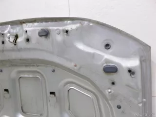 651000987R Renault Капот Renault Duster 2 Арт E60528591, вид 12