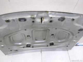 651000987R Renault Капот Renault Duster 2 Арт E60528591, вид 15