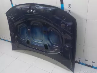 651000987R Renault Капот Renault Duster 2 Арт E31319540, вид 4