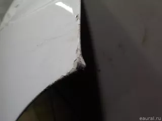 5E0823031 VAG Капот Skoda Octavia A8 Арт E14928534, вид 2