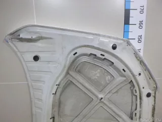 5E0823031 VAG Капот Skoda Octavia A8 Арт E48216631, вид 8