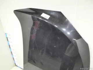 651009018R Renault Капот Renault Megane 3 Арт E48369354, вид 2