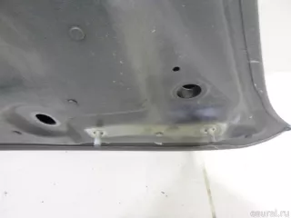 41617486754 BMW Капот BMW X5 E70 Арт E48384050, вид 11