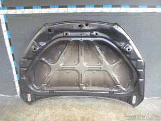 6101132100 Ssang Yong Капот SsangYong Actyon 2 Арт E22925651, вид 8