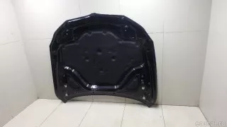 41617427501 BMW Капот BMW 7 G11/G12 Арт E95502942, вид 11