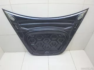 1081390E0C Tesla Капот Tesla model 3 Арт E95527785, вид 8