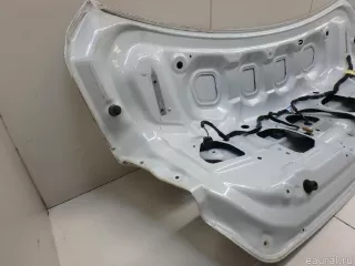 901009531R Renault Крышка багажника Renault Talisman 2 Арт E95618550, вид 13