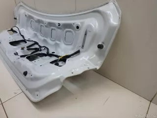 901009531R Renault Крышка багажника Renault Talisman 2 Арт E95618550, вид 15
