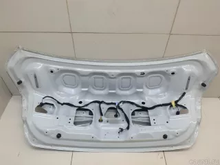 901009531R Renault Крышка багажника Renault Talisman 2 Арт E95618550, вид 10