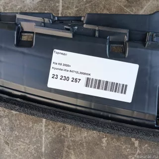 84712L2000WK Hyundai-Kia Торпедо Kia K5 3 Арт E23230257, вид 10