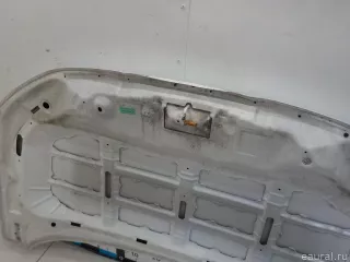 5730054P00 Suzuki Капот Suzuki Vitara2 Арт E41073103, вид 14