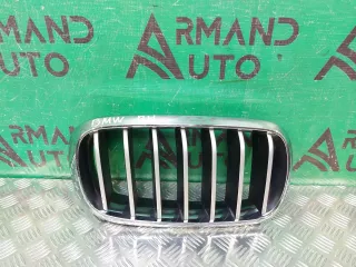51137316062, 7316054 решетка радиатора BMW X5 F15 Арт 201623RM, вид 1