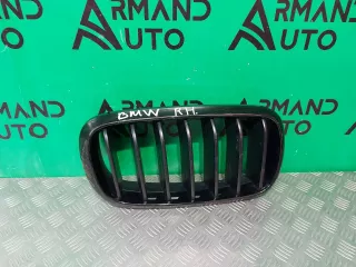 51712334710, 7316054, 7316058, 7316076 решетка радиатора BMW X5 F15 Арт 230396RM, вид 1