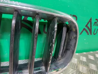 51137294485, 7316053, 7316057, 7316075 решетка радиатора BMW X5 F15 Арт 230556RM, вид 6