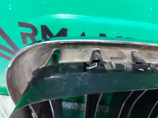 51137294485, 7316053, 7316057, 7316075 решетка радиатора BMW X5 F15 Арт 230556RM, вид 10