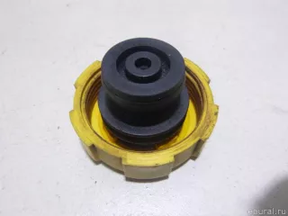 1214800200 JP Group Крышка расширительного бачка Opel Vectra C  Арт E15022264, вид 4