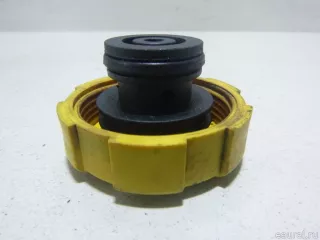 1214800200 JP Group Крышка расширительного бачка Opel Vectra C  Арт E15022264, вид 5