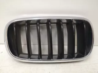 7316076 решетка радиатора BMW X5 F15 Арт SP18129, вид 1