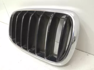 7316076 решетка радиатора BMW X5 F15 Арт SP18129, вид 3
