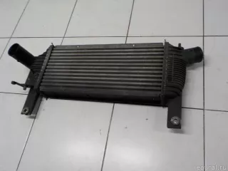 14461EB360 Nissan Интеркулер Nissan Navara D23 Арт E50772736, вид 1