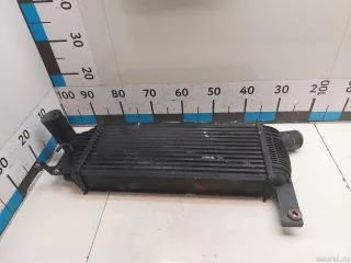 14461EB360 Nissan Интеркулер Nissan Pathfinder 4 Арт E90331967, вид 1