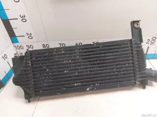 14461EB360 Nissan Интеркулер Nissan Pathfinder 4 Арт E90331967, вид 4