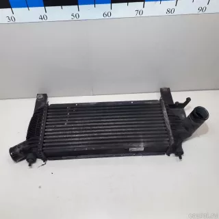 14461EB360 Nissan Интеркулер Nissan Navara D23 Арт E22392479, вид 4