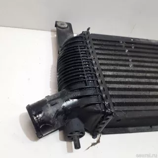 14461EB360 Nissan Интеркулер Nissan Navara D23 Арт E22392479, вид 5