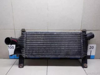 14461EB360 Nissan Интеркулер Nissan Navara D23 Арт E31210583, вид 1
