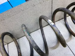  Пружина передняя Ford Tourneo Арт E100153816, вид 3