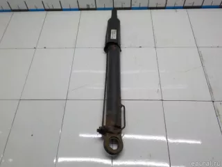 0025538805 Mercedes Benz Цилиндр подъёма кабины Mercedes R W251 Арт E8335080, вид 3