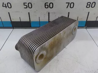 A5411880601 Mercedes Benz Радиатор масляный Mercedes R W251 Арт E36236293, вид 5