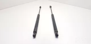 91802560512 , artTIM13123 Амортизатор крышки багажника (3-5 двери) Opel Signum Арт TIM13123, вид 1